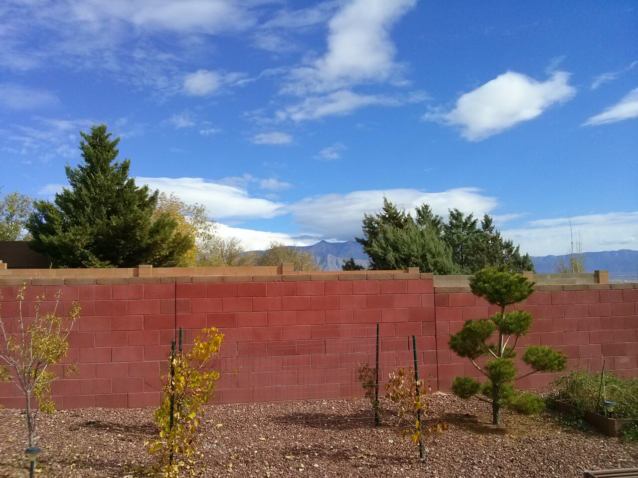 This shot was taken with the Optimus G's rear camera