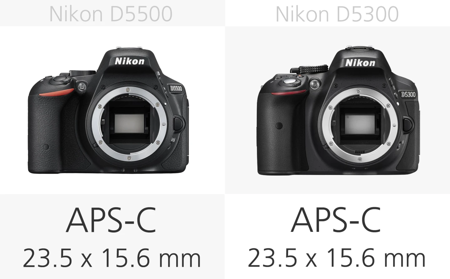 Nikon D5500 vs. Nikon D5300 sensor size comparison