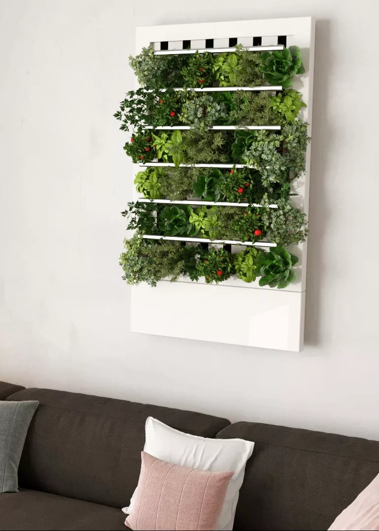 Each unit can hold up to 30 seed pods for growing fresh herbs, greens and small veggies