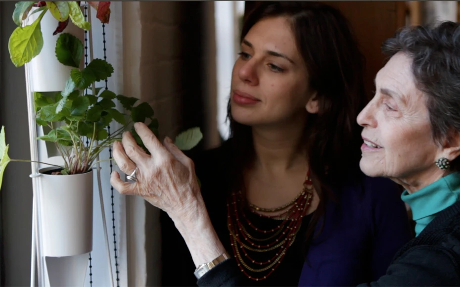 Window farmers can grow almost any small food crop - including kale, lettuce, strawberries, herbs like basil and stevia, peas, swiss chard, cress and even squash