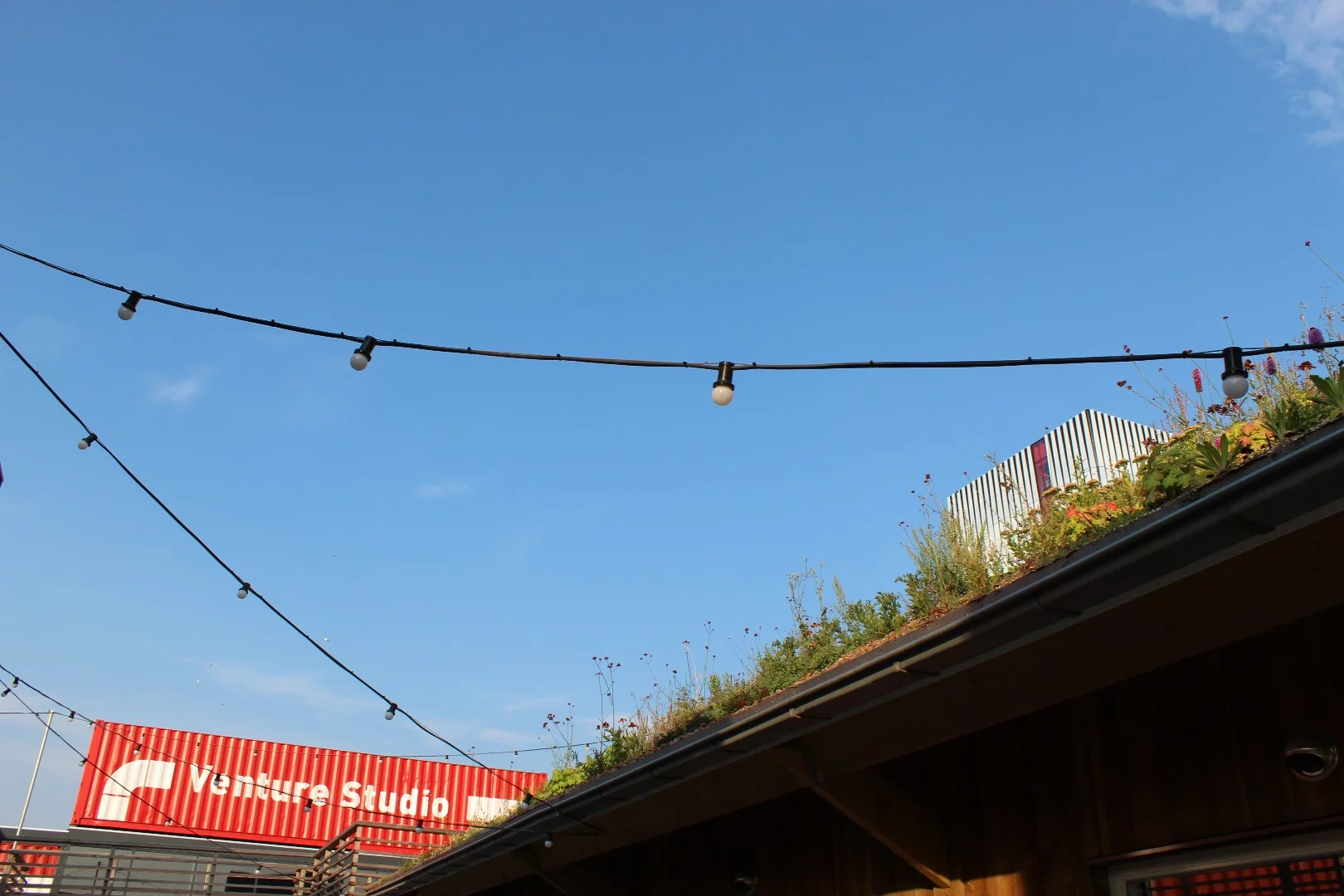 Careful placement at Startup Village in Amsterdam