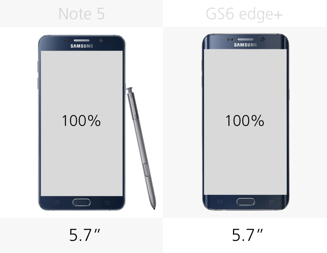 Display size