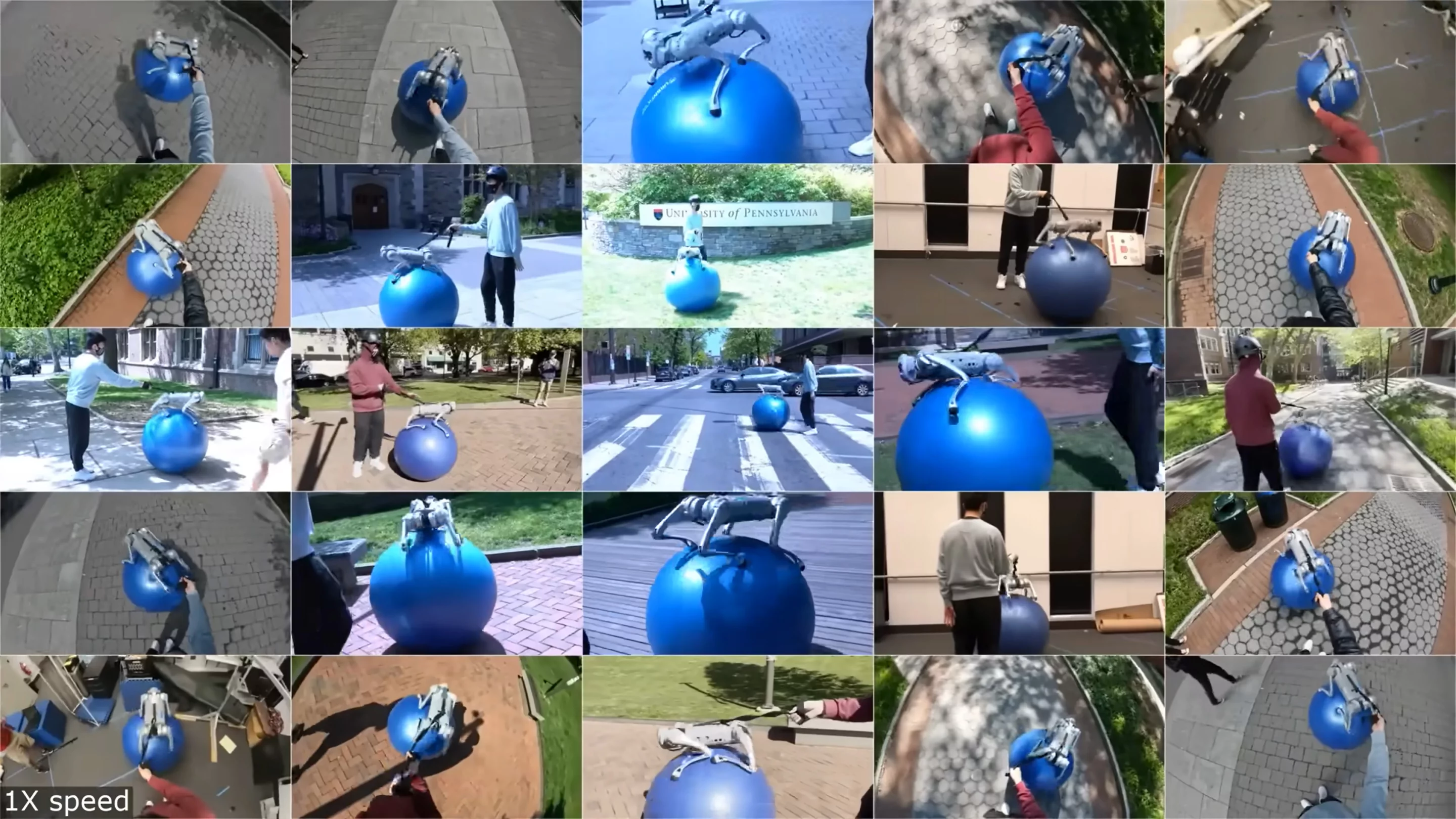 The many tests robodog had to do