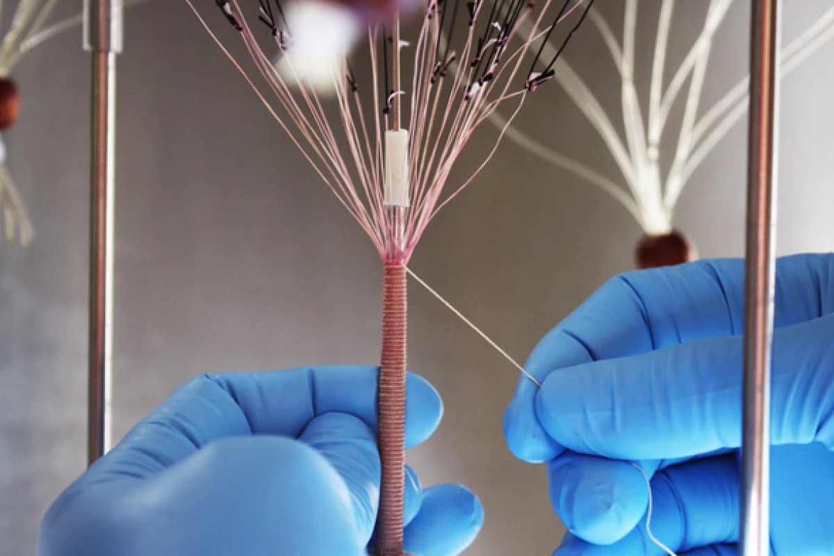 Blood vessels made from the yarn should reportedly be tolerated by all patients