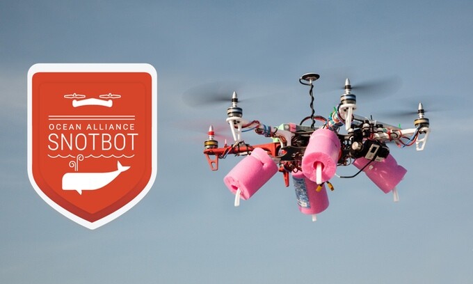 Behold Snotbot, a drone that samples whale lung lining exhalations