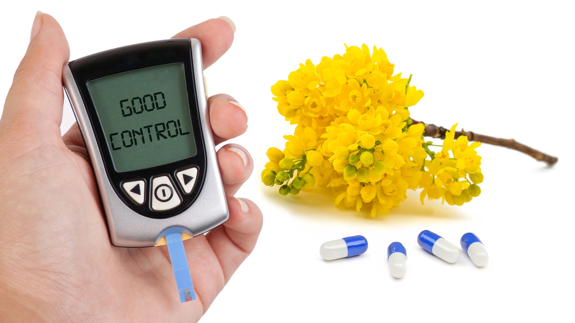 A new plant-based pill significantly improved blood sugar control in type 2 diabetics