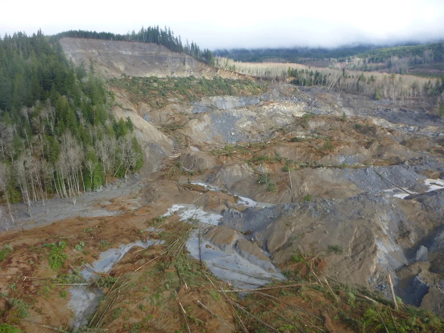 The March 22, 2014 SR530 landslide near Oso, Washington, caused 43 fatalities, destroyed a neighborhood, blocked a state highway, and temporarily dammed the North Fork Stillaguamish River