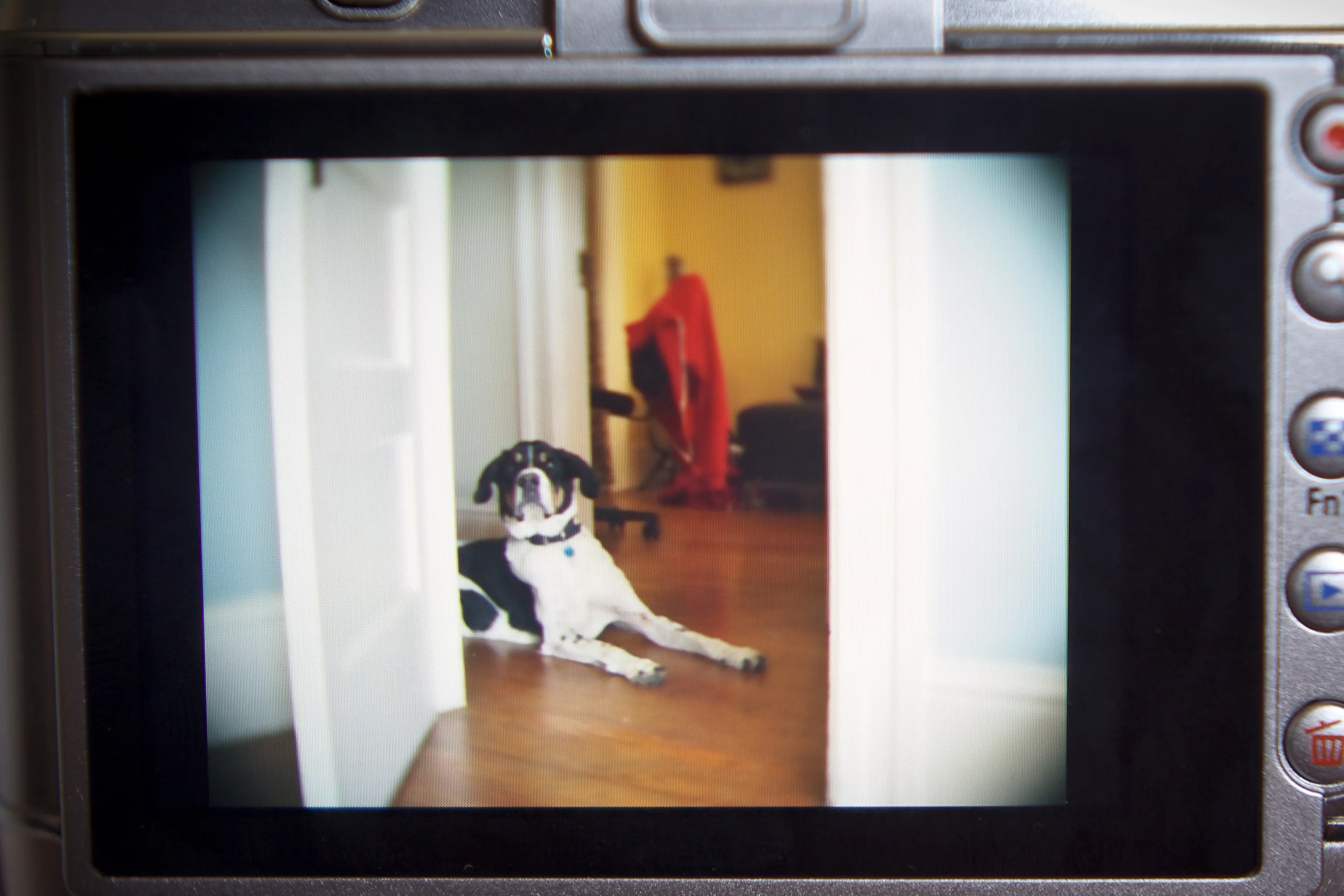 Lo-fi effects can be viewed live on the display while framing the shot