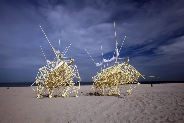 Two Adulari Strandbeests stroll on the beach (Photo: Theo Jansen)