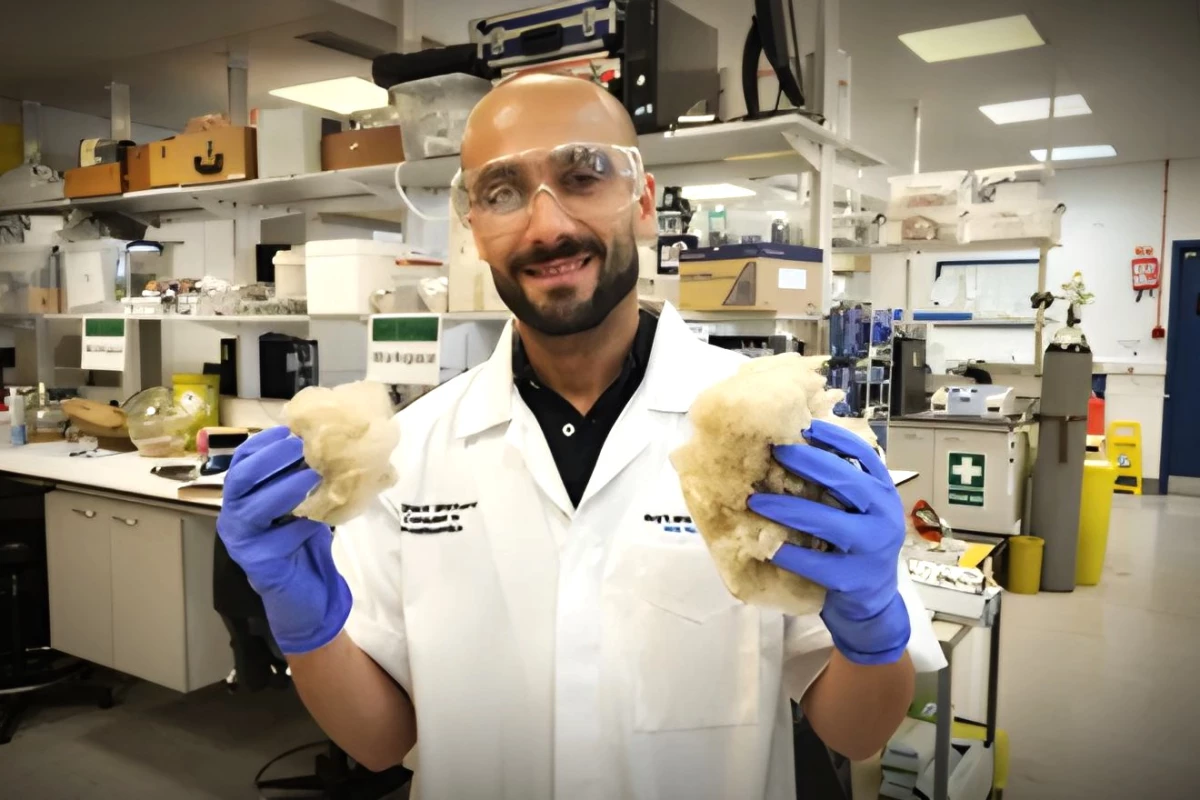 Senior study author Sherif Elsharkawy holding wool, which was used as the source of keratin in the study