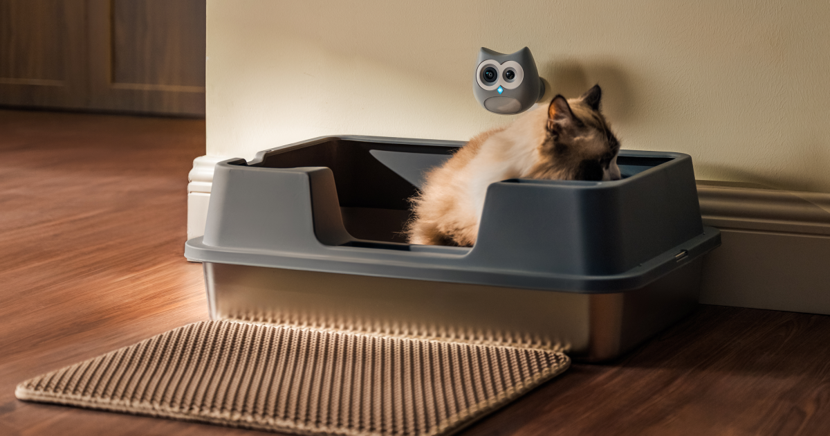 SiiPet LitterLens monitors bathroom behavior to spot cat illness early