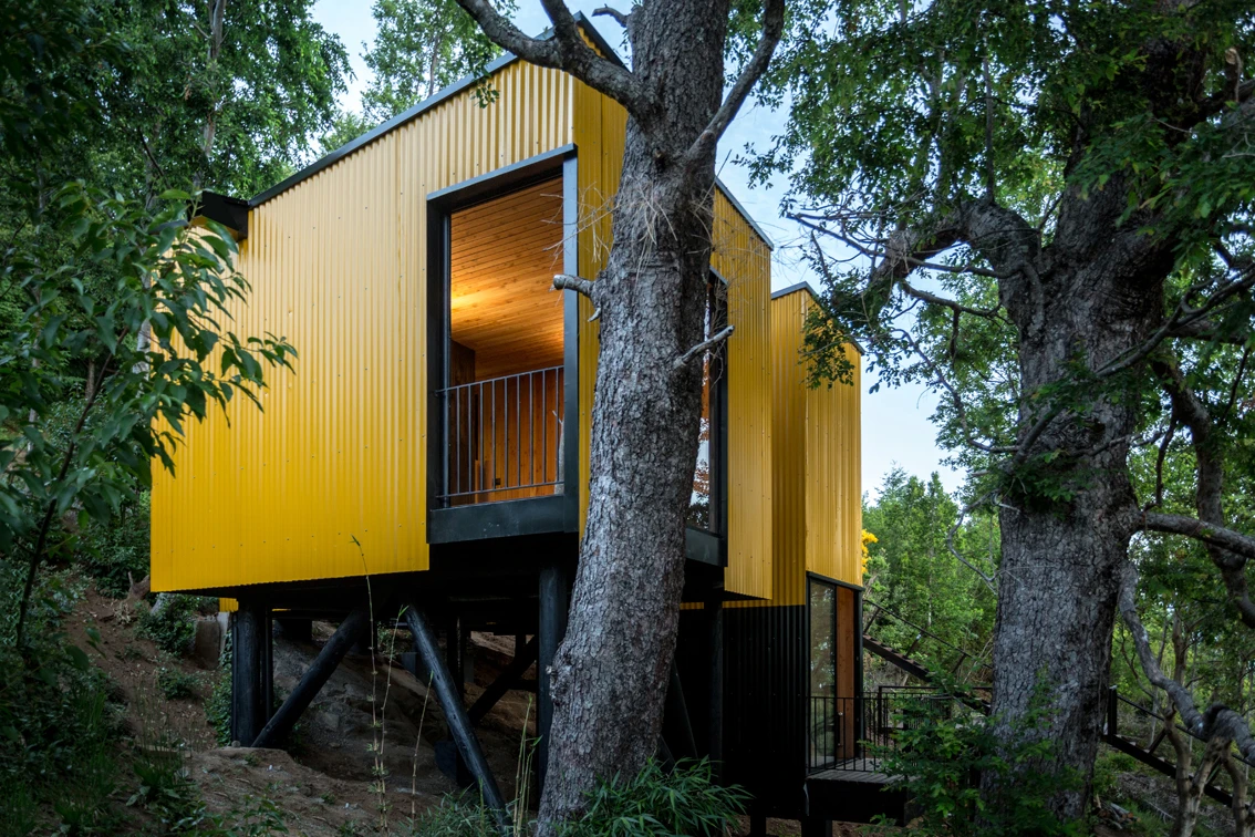 Yellow House is a giant treehouse-inspired home that proposes a comfortable and economic housing model for the future