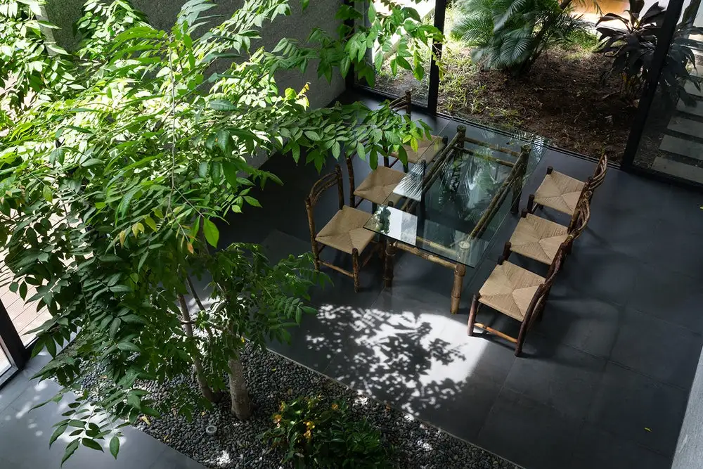 Binh House has lots of greenery on the inside and outside