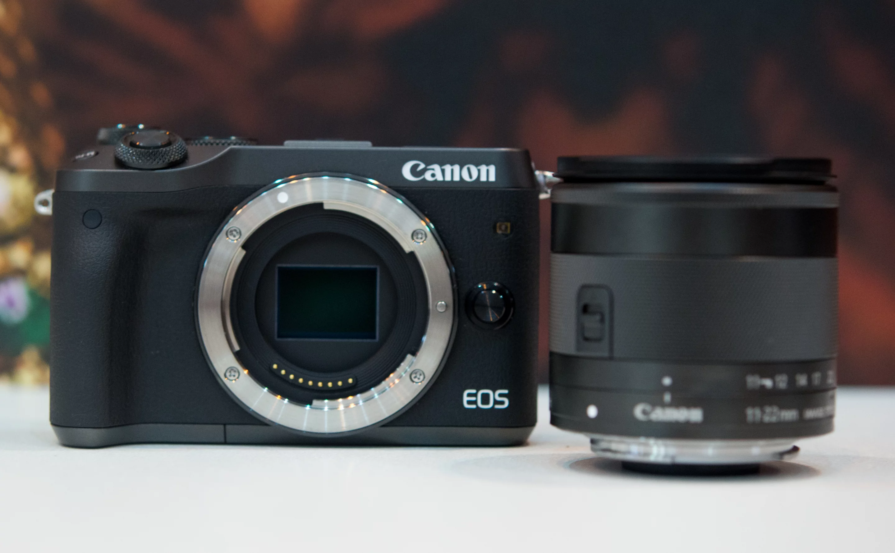 The Canon EOS M6 mirrorless camera uses the Canon EF-M lens mount