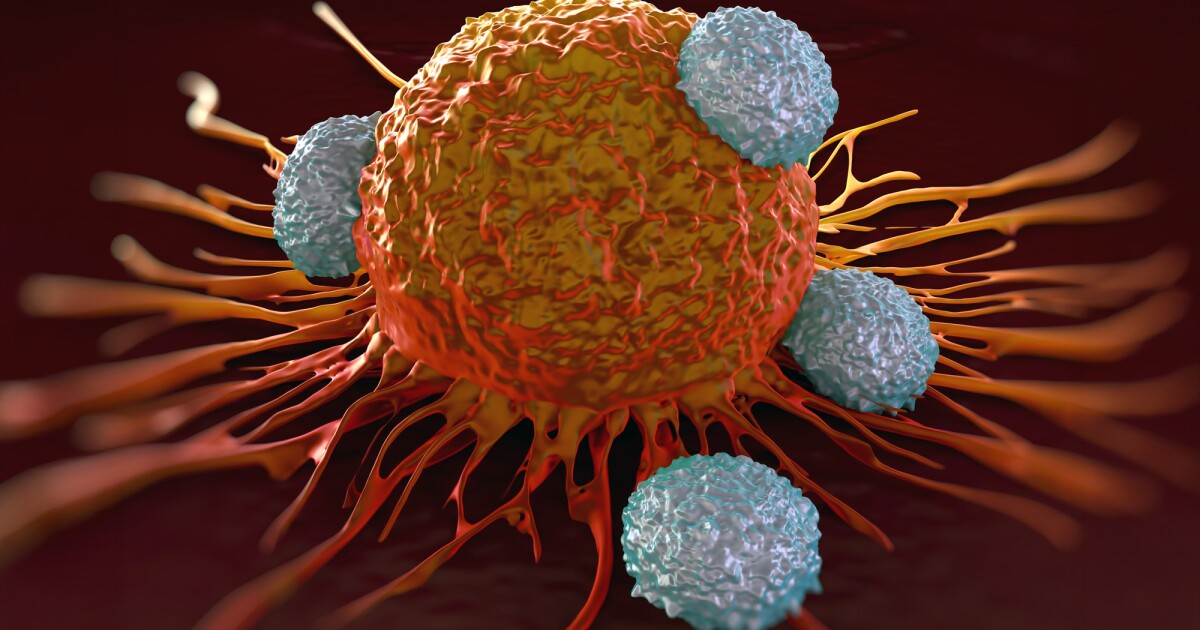 Hydrogel boosts T cell power in cancer immunotherapy Hydrogel boosts T cell power in cancer immunotherapy