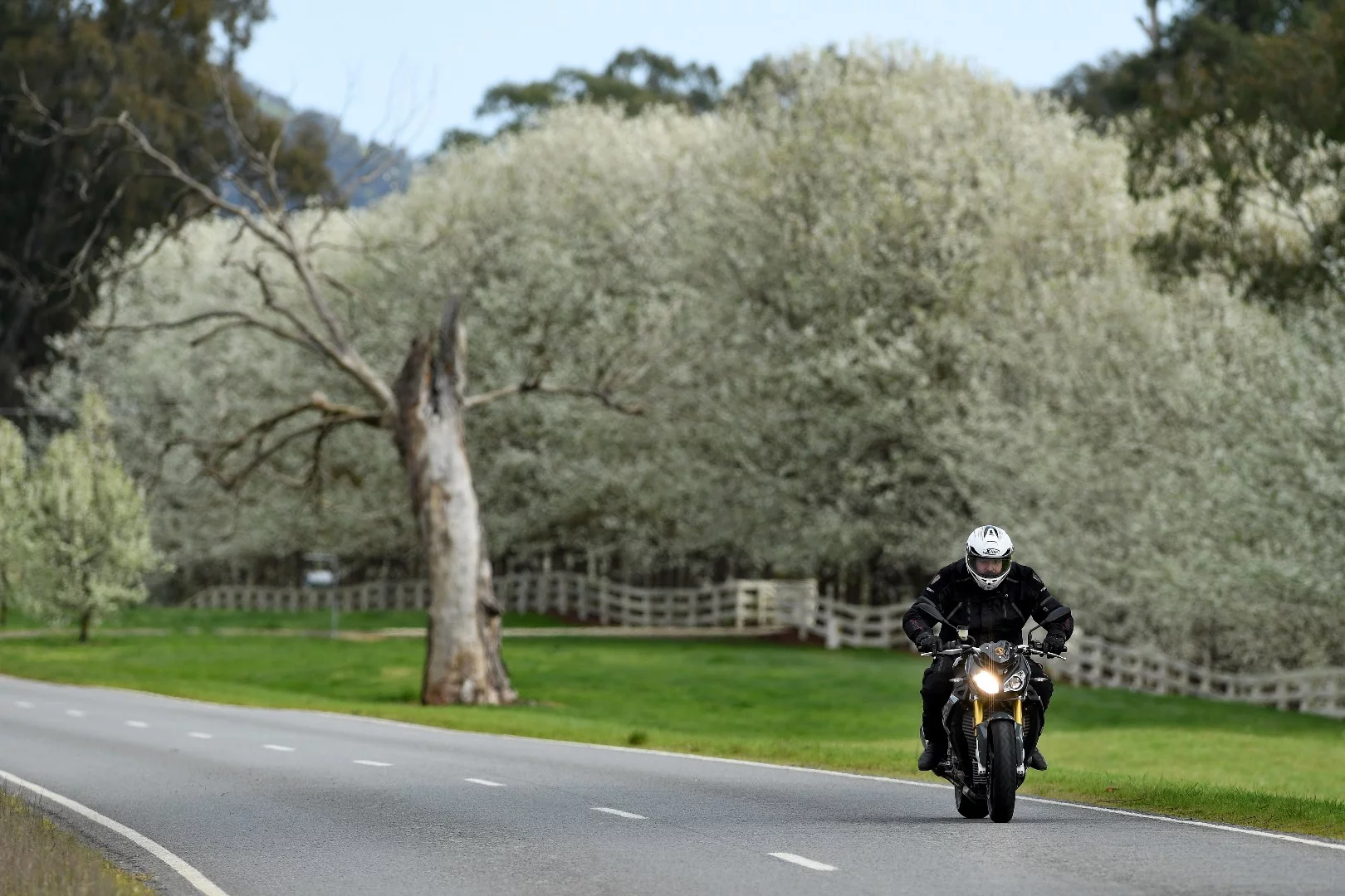 Continental Road Attack 3: this is my "I mean business" riding position