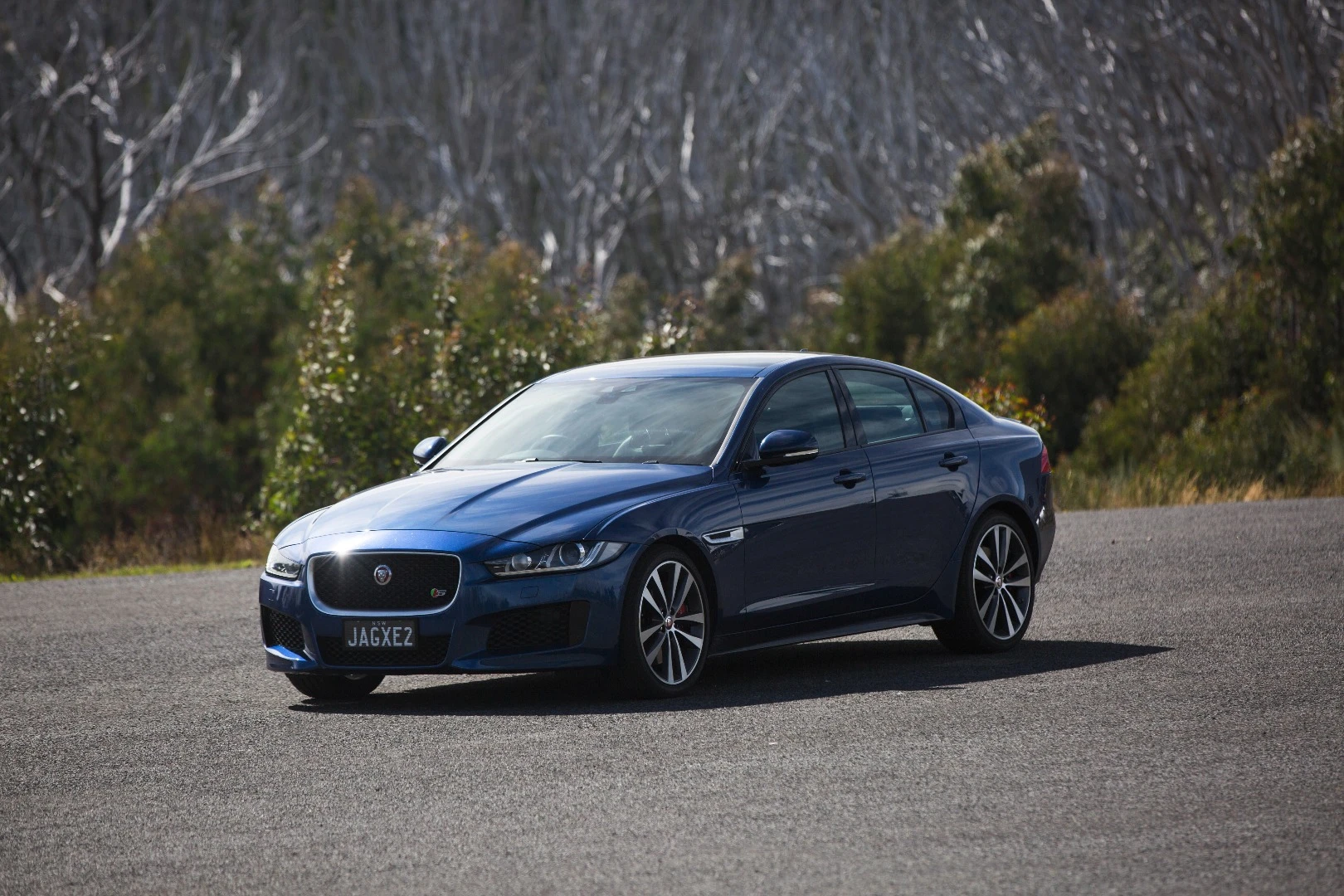 The XE's sharp steering and flat handling make it a hoot in the hills