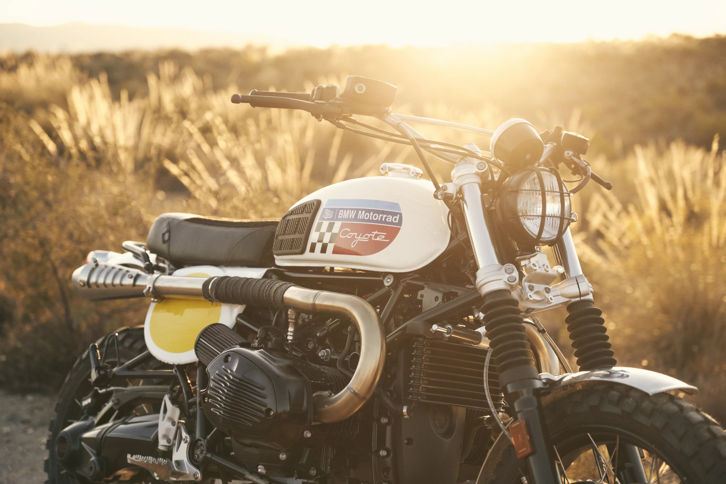 Coyote: Suzuki tank and flat seat