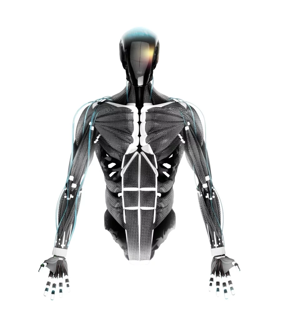 The next step is a full, rigid-spined torso incorporating no less than 124 artificial muscles