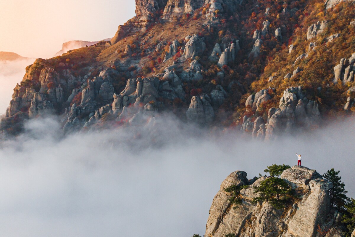 'Alone in the mist' by @inchaseofbeauty (Russia)