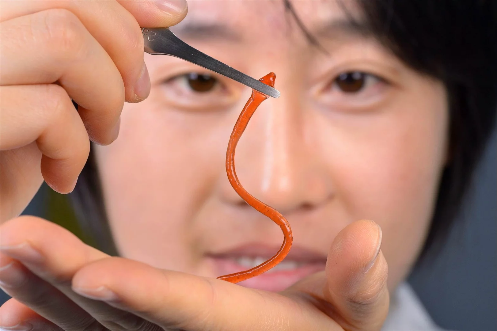 Lead scientist Dr. Jiaxi Cui holds a worm-shaped sample of the material