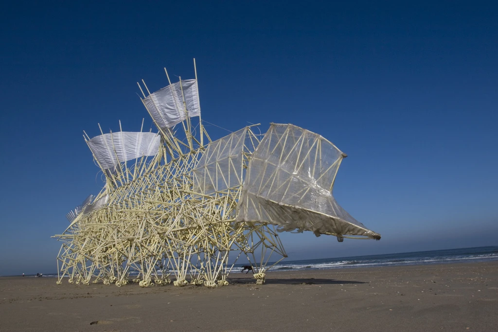 A closeup of the Umerus beach animal (Photo: Theo Jansen)