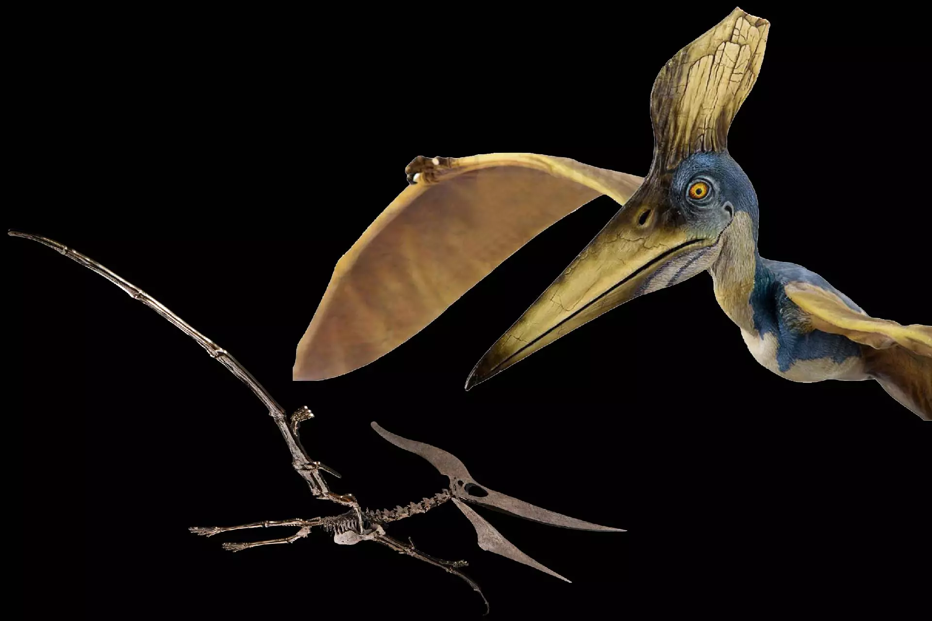 XXXX xxxx XXXX xxxx XXXX xxxx XXXX xxxx XXXX xxxx XXXX xxxx XXXX xxxx XXXX xxxx XXXX xxxx XXXX xxxx XXXX xxxx XXXX xxxx XXXX xxxx XXXX xxxx XXXX xxxx XXXX xxxx XXXX xxxx XXXX xxxx XXXX xxxx XXXX xxxx XXXX xxxx XXXX xxxx XXXX xxxx XXXX xxxx XXXX xxxx XXXX xxxx XXXX xxxx XXXX xxxx XXXX xxxx XXXX xxxx