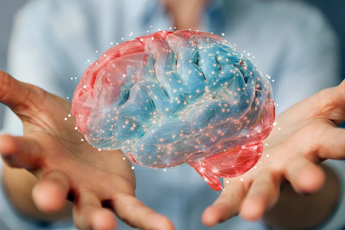 New research has uncovered brain connections that might go some way towards making epileptic surgery more effective at preventing seizures in the long term