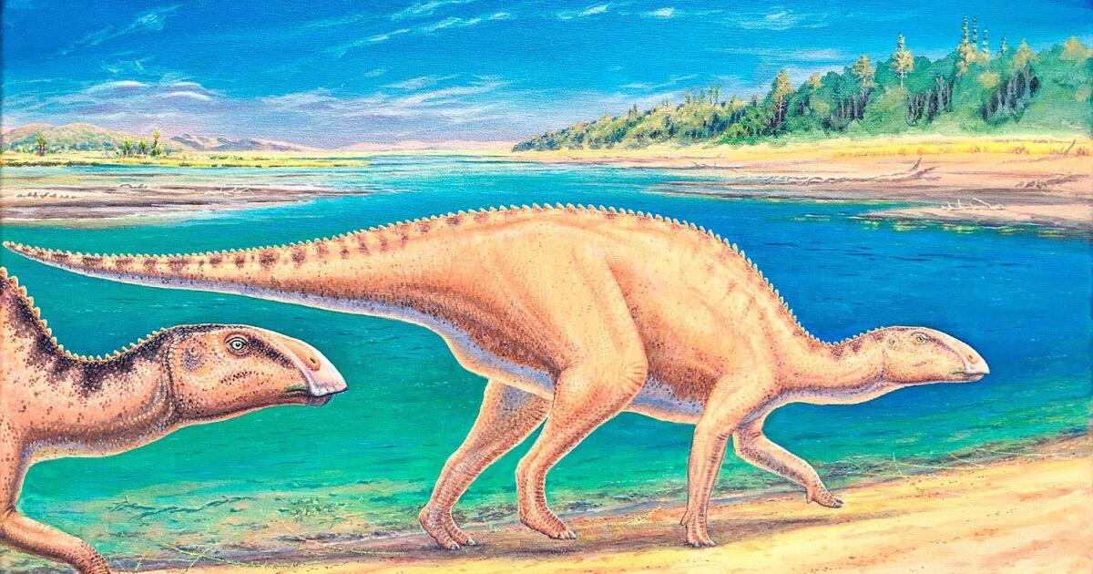 New duckbilled dinosaur baffles scientists with its epic world travel