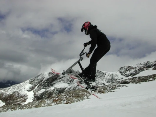 The Snowter