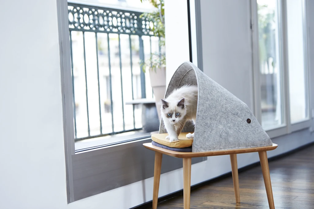 Each is available in multiple colors and the fabric can be swapped out when your cat's claws have destroyed it