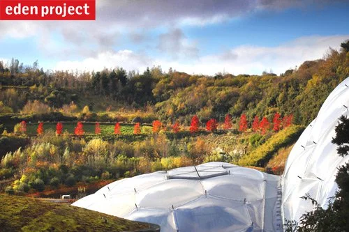 Eden Project, Cornwall, UK(Image by Eden Project)