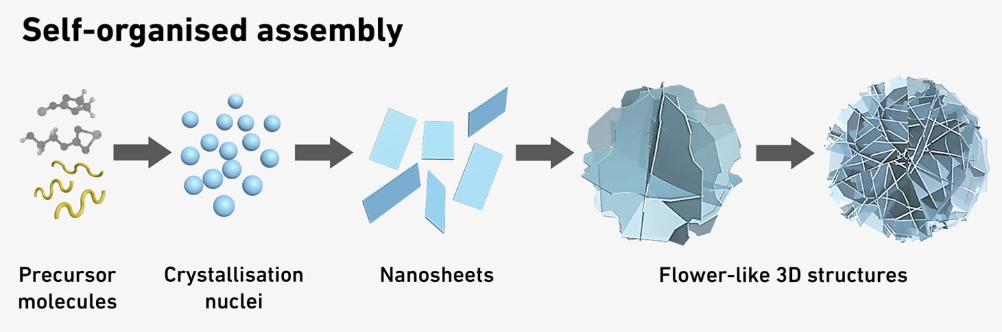 A very basic diagram of the self-assembly process