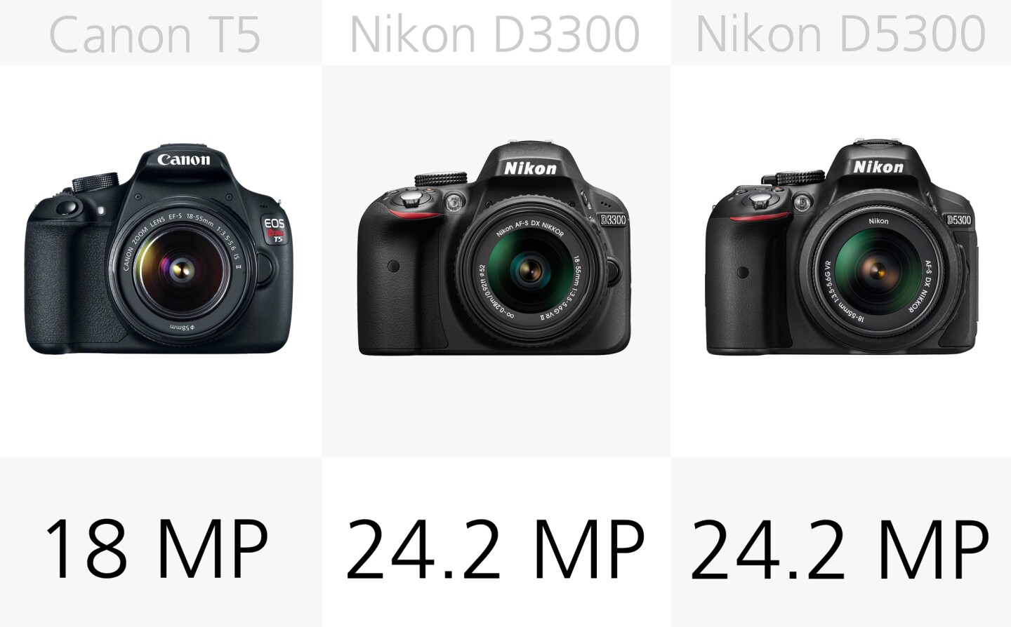 All of the DSLRs in out selection come in between 18 and 24.4-megapixel