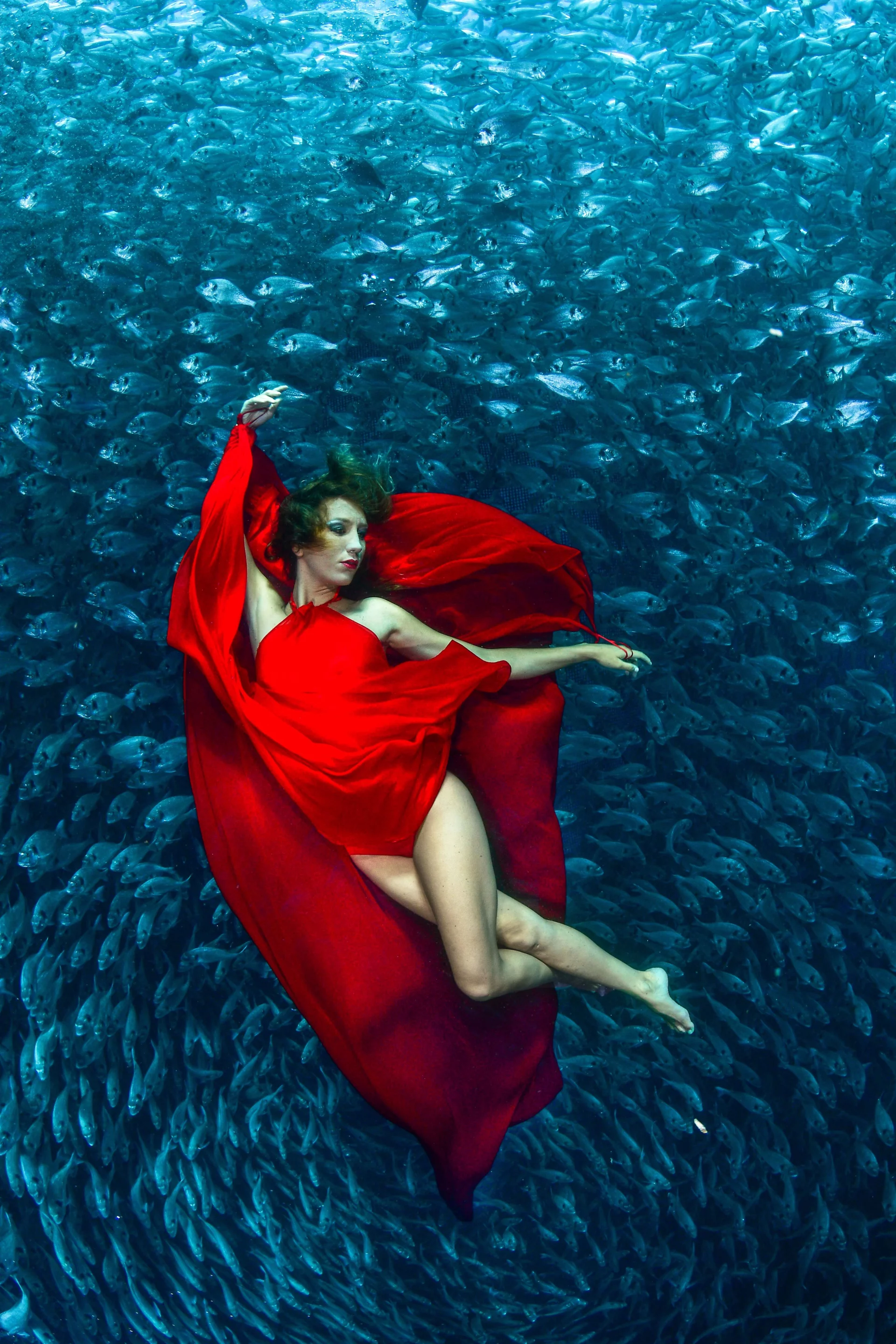 Highly commended, Category - Portrait. Sanda Delija is a free-diving champion, she posed at 18 meters depth among the fish