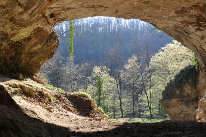 Several well-preserved Neanderthal remains have been found in the Vindija cave in Croatia