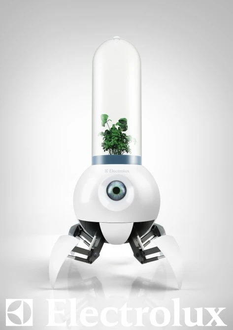Le Petit Prince looks after growing vegetation by trotting about on the surface of Mars looking for the best conditions for growth