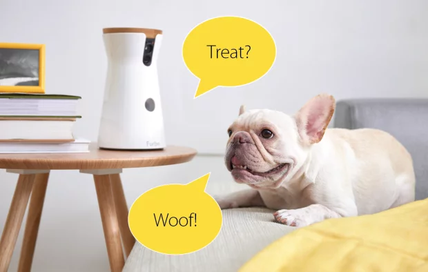 A two-way audio system lets you communicate with your dog during the day