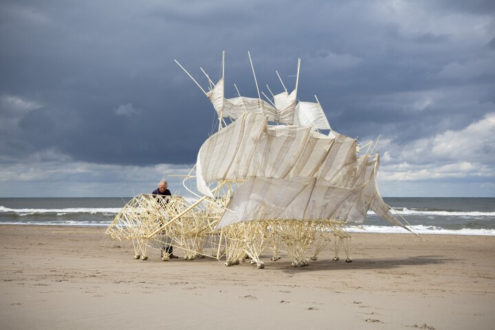 The Strandbeest Plaudens Vela can walk in the wind at low speeds and avoid tumbling over in high winds (Photo: Theo Jansen)