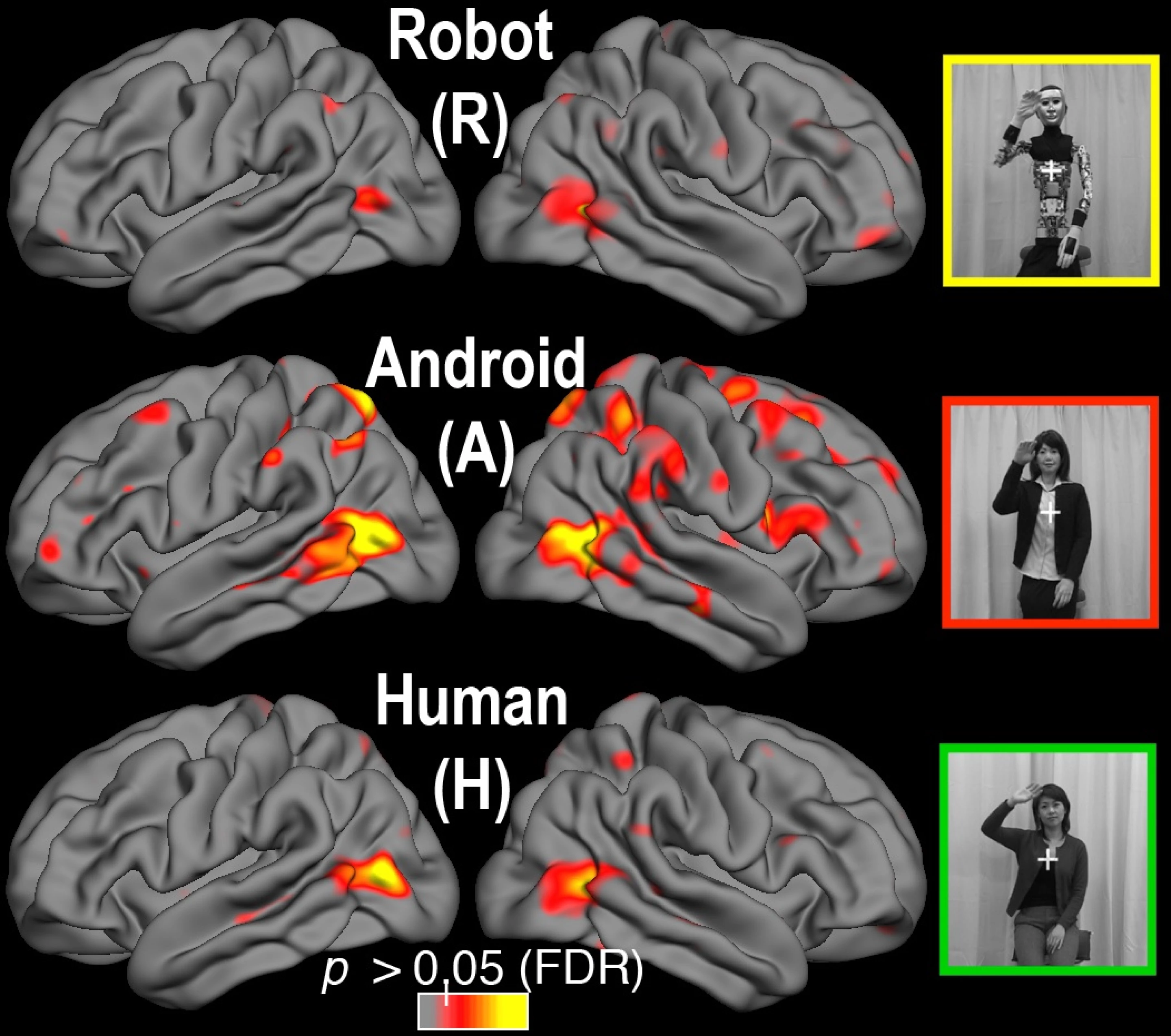 Study shows why human-like robots give people the creeps