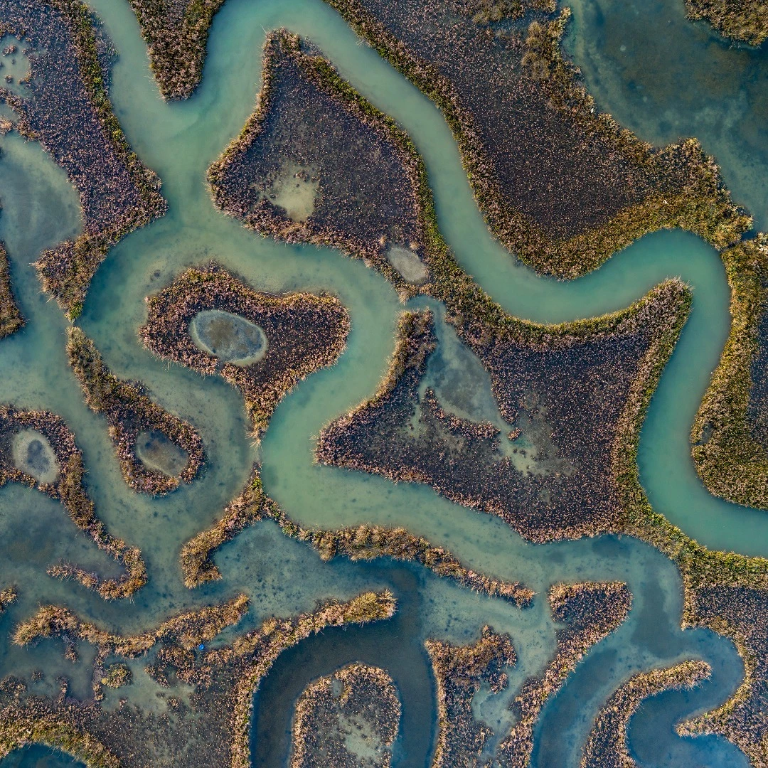 Shapes made by tidal streams in the Venice lagoon, Italy