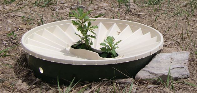 The Groasis Waterboxx is a low-tech device that helps saplings grow into trees in inhospitable environments