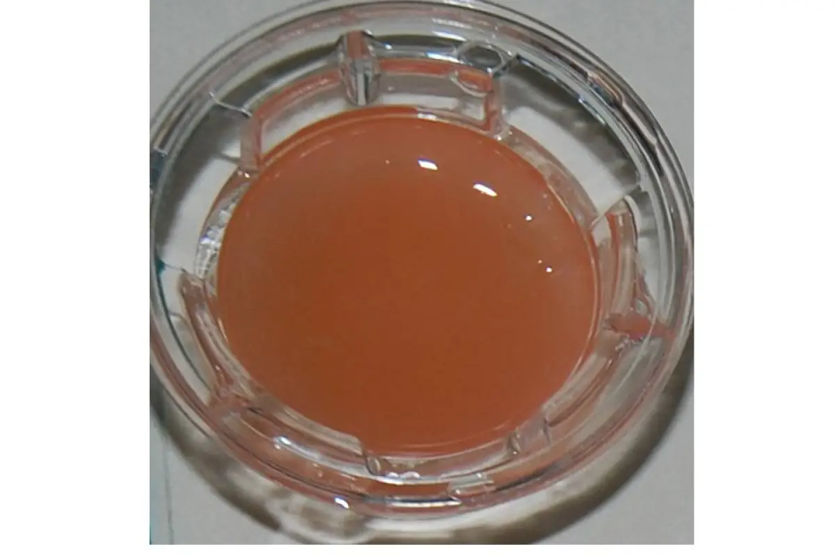 The University of Granada's fibrin-agarose artificial skin