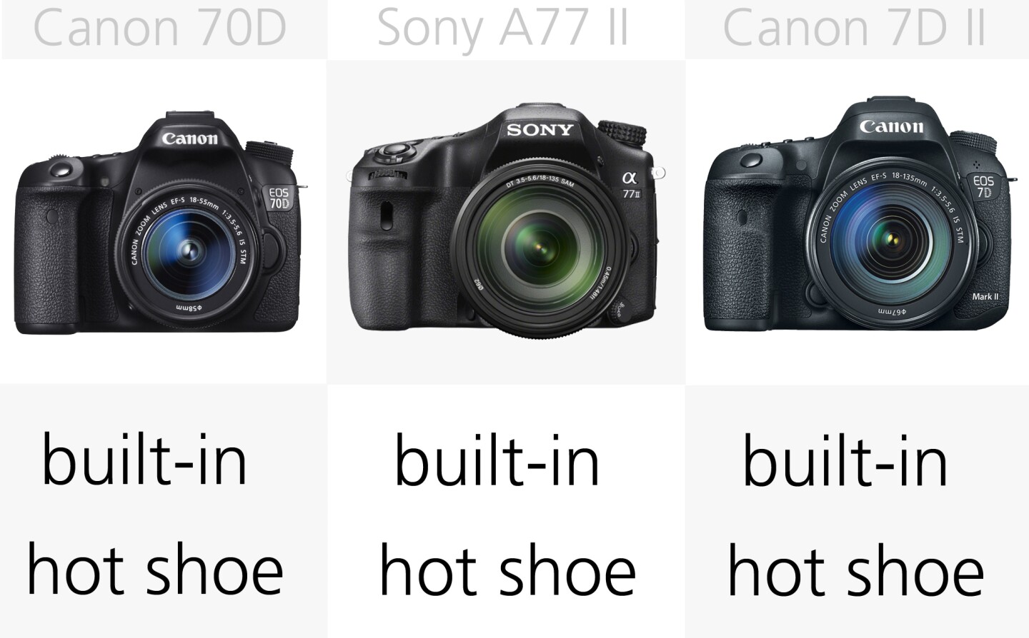 As you would expect of a DSLR lineup like this, all of these cameras have built-in flashes and hot-shoes