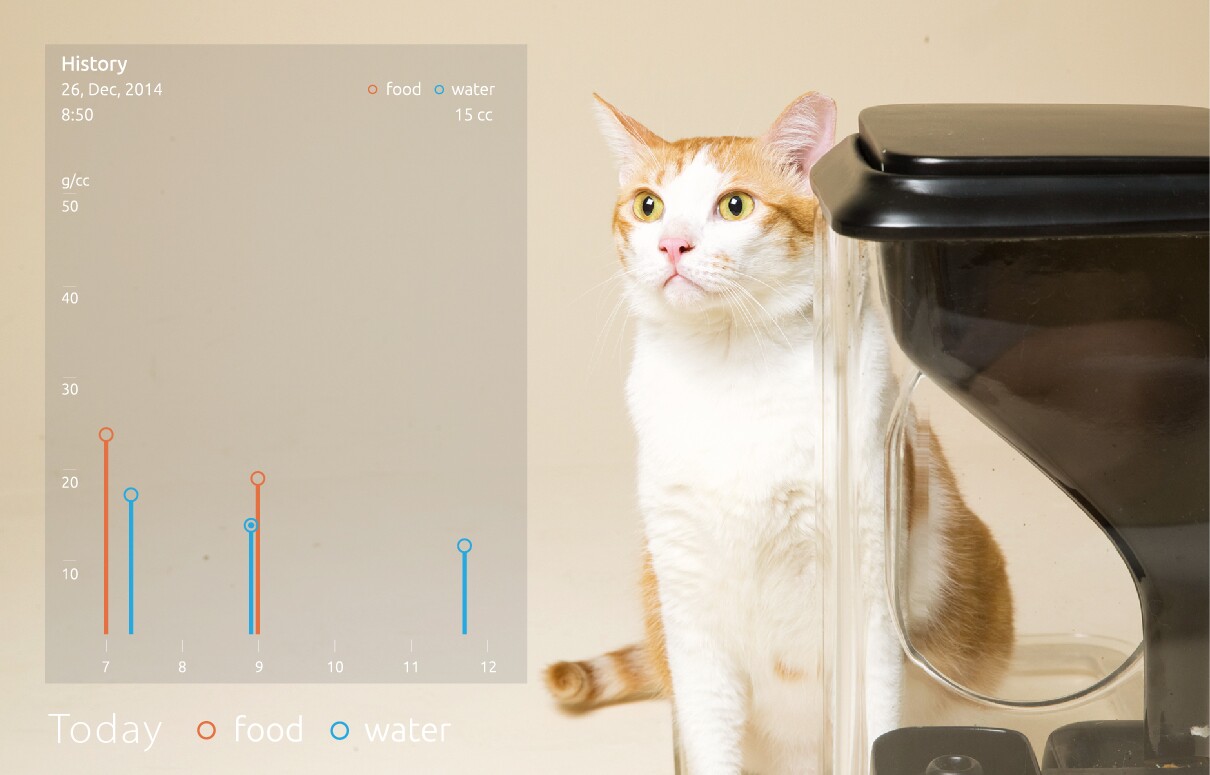 Bistro cat feeder and health monitor identifies cats using facial