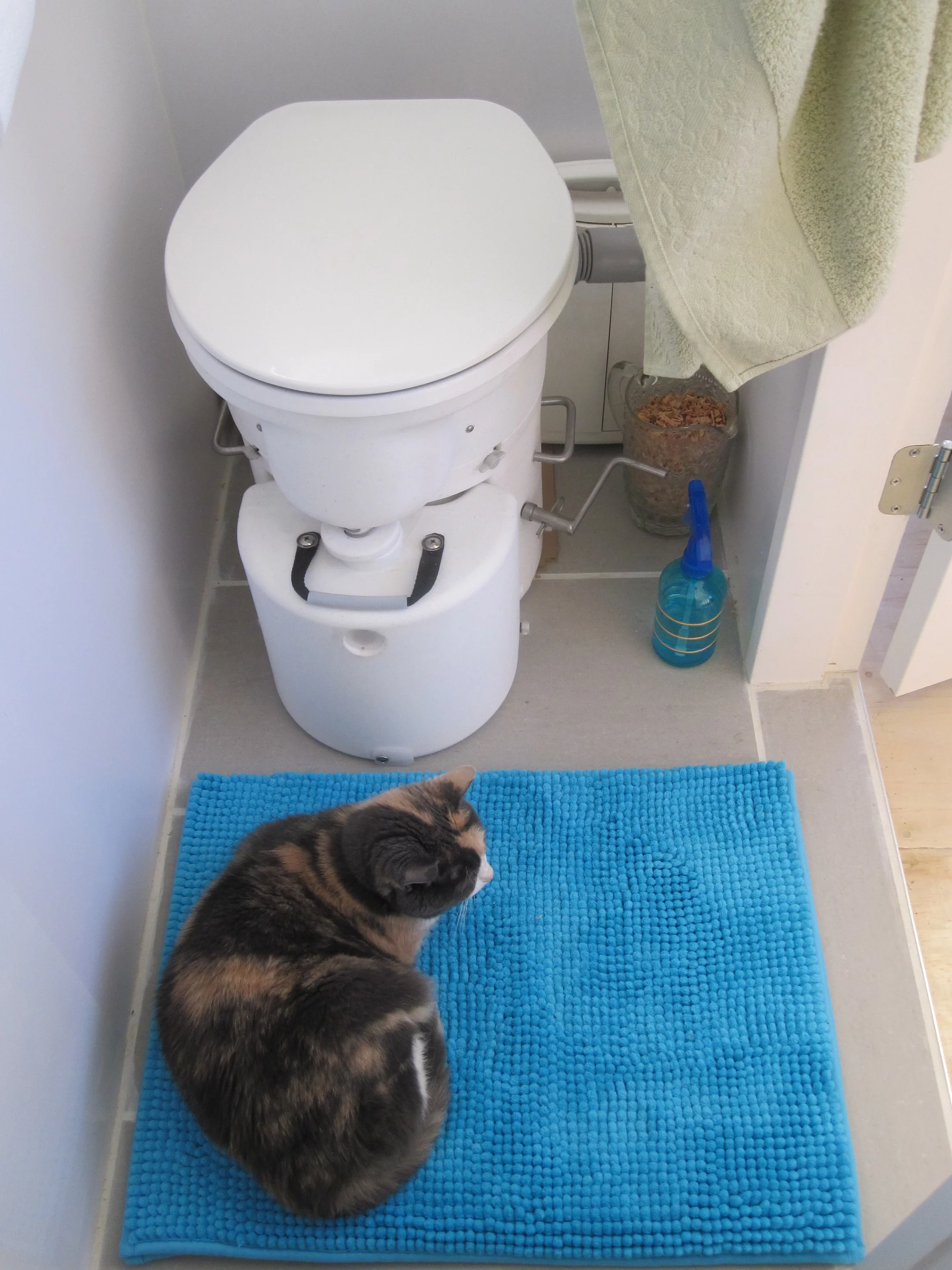 The composting toilet (Photo: Isabella Mori)