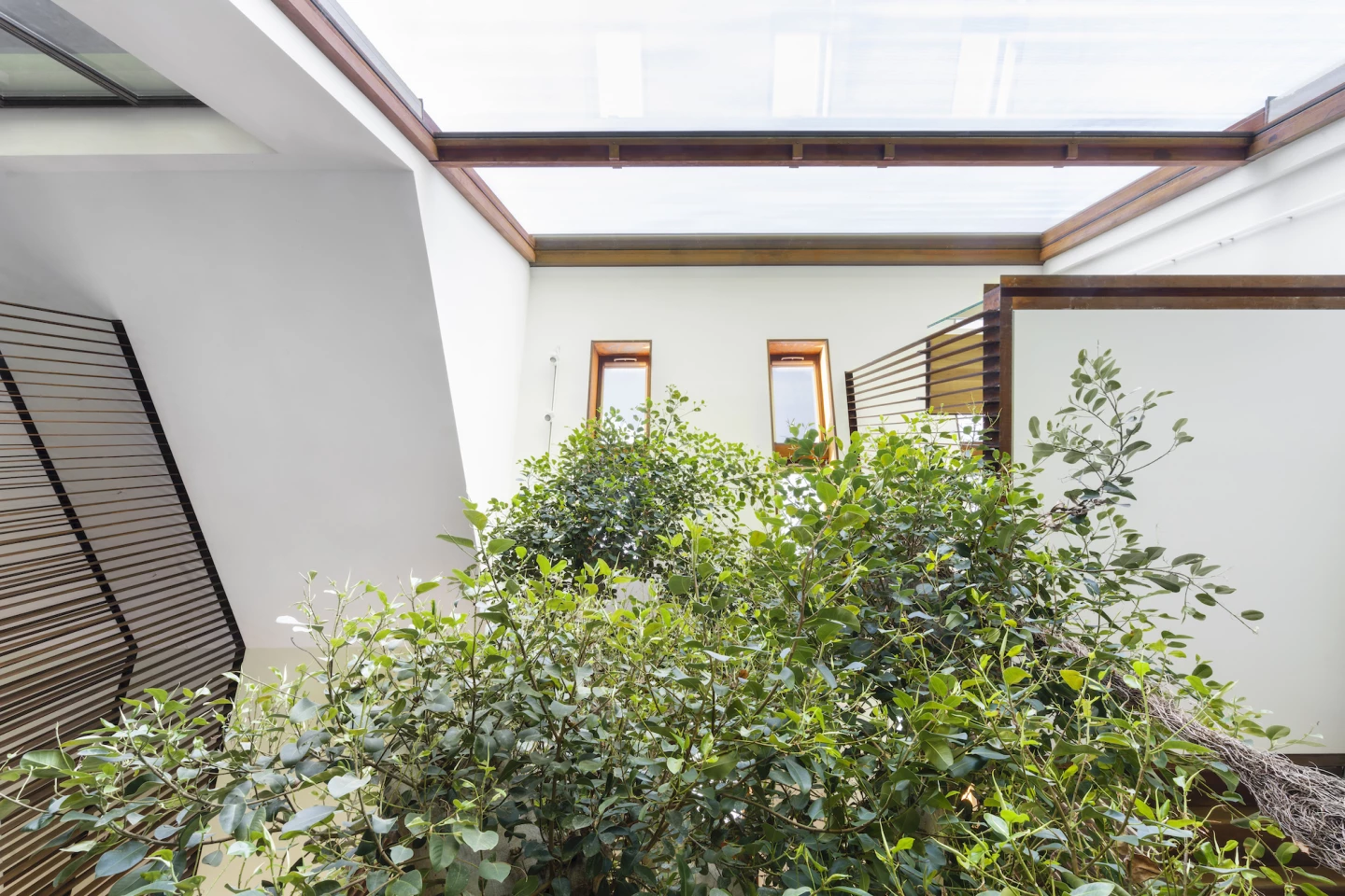 The Greenary's living room is topped by large skylights, ensuring the tree receives enough light