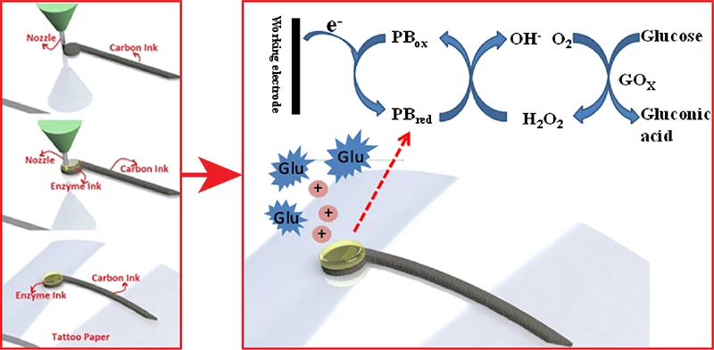 The electrodes were created by finely depositing conductive carbon/enzyme-based polymer "ink" onto a substrate from a nozzle