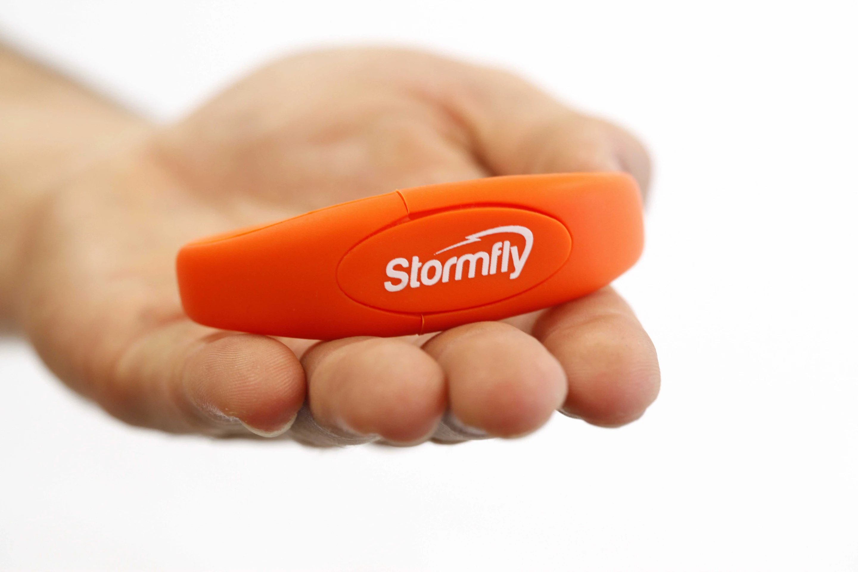 Although StormFly doesn't require access to the internet to work, one of the biggest selling points for the security-conscious is that ability to go online using a host computer and not leave any traces of your activity on the machine itself