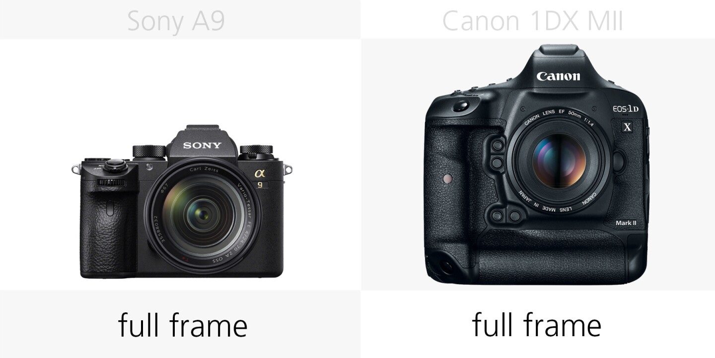 Comparing the sensor size of the Sony A9 and Canon 1DX Mark II